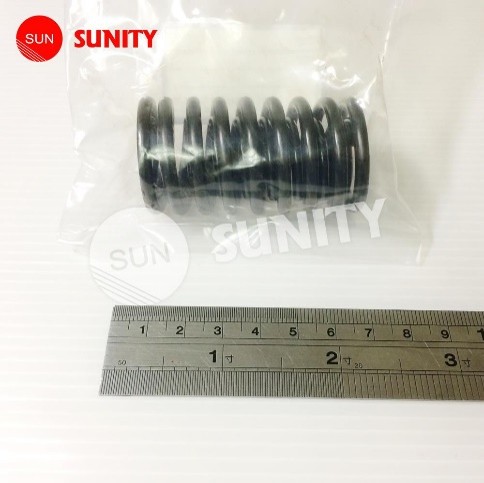 SPRING-VALVE-LARGE-and-SMALL-2PC-SET